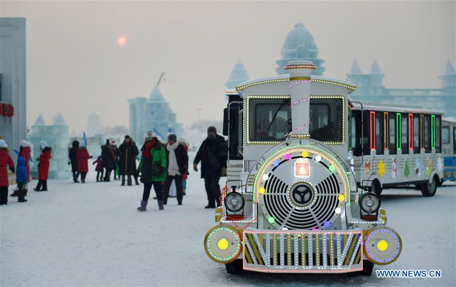 CHINA-HARBIN-NEW YEAR (CN)