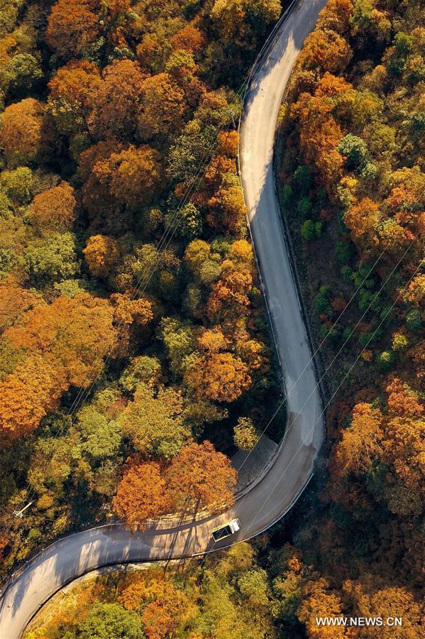 CHINA-RURAL WORK-ROADS(CN)