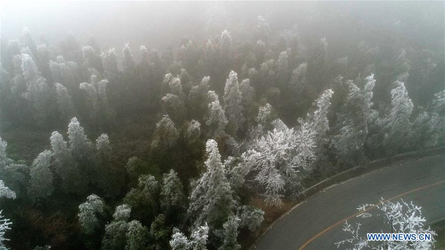 CHINA-JIANGXI-NANCHANG-FROST (CN)