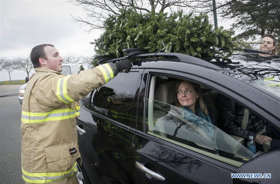 CANADA-RICHMOND-CHRISTMAS TREE-CHIPPING