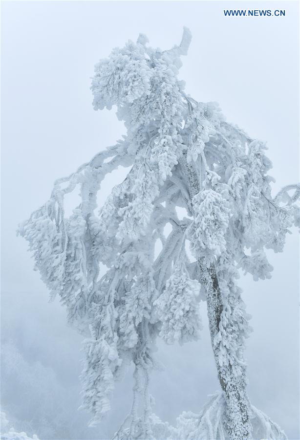 #CHINA-HUBEI-ENSHI-ICY WEATHER (CN)