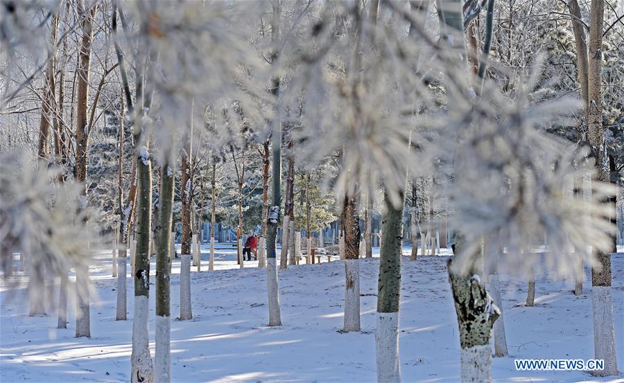 CHINA-SHENYANG-RIME (CN)