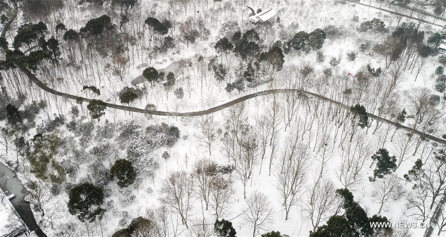 CHINA-NANJING-SNOWFALL (CN)