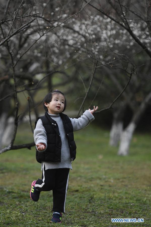 CHINA-ZHEJIANG-HANGZHOU-PLUM-BLOSSOM (CN)