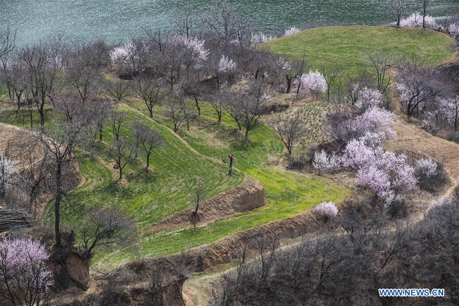 #CHINA-SPRING-SCENERY (CN)