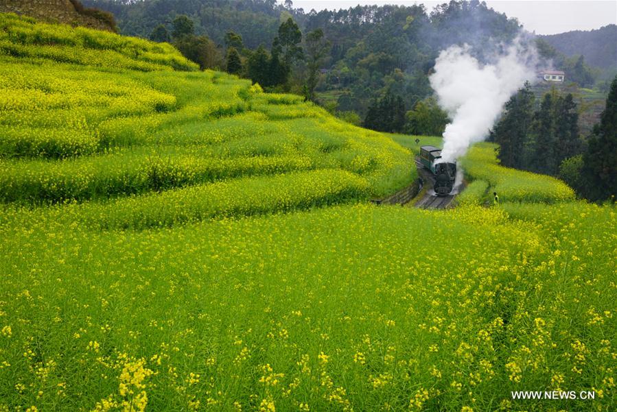 #CHINA-SPRING VIEWS (CN)