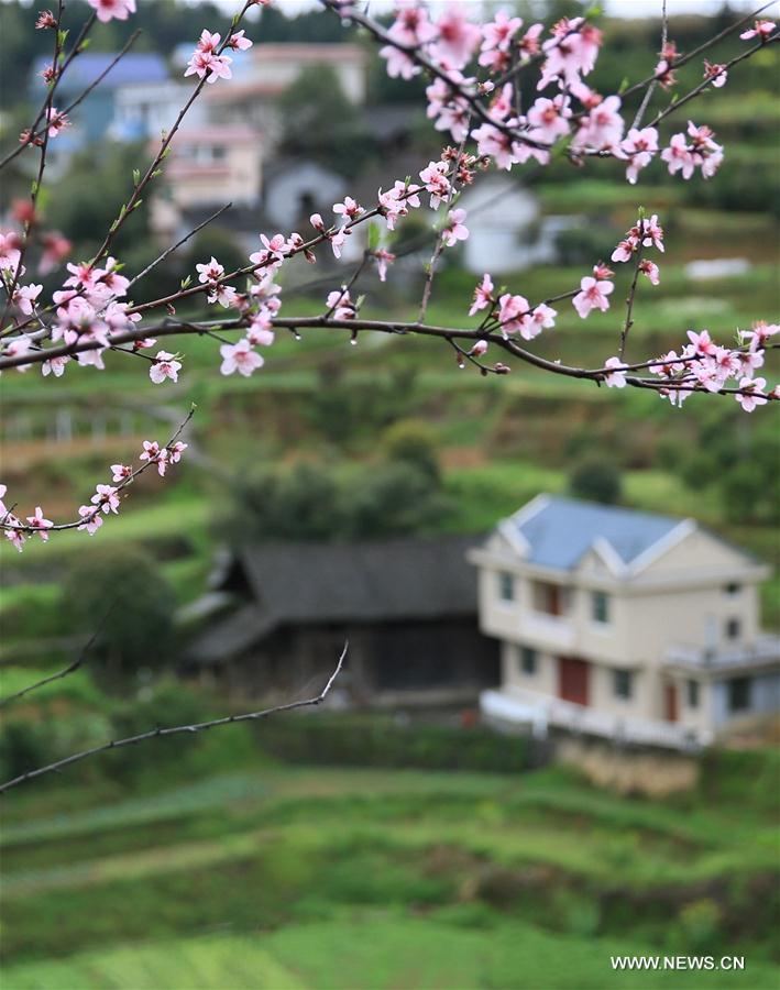 #CHINA-SPRING VIEWS (CN)