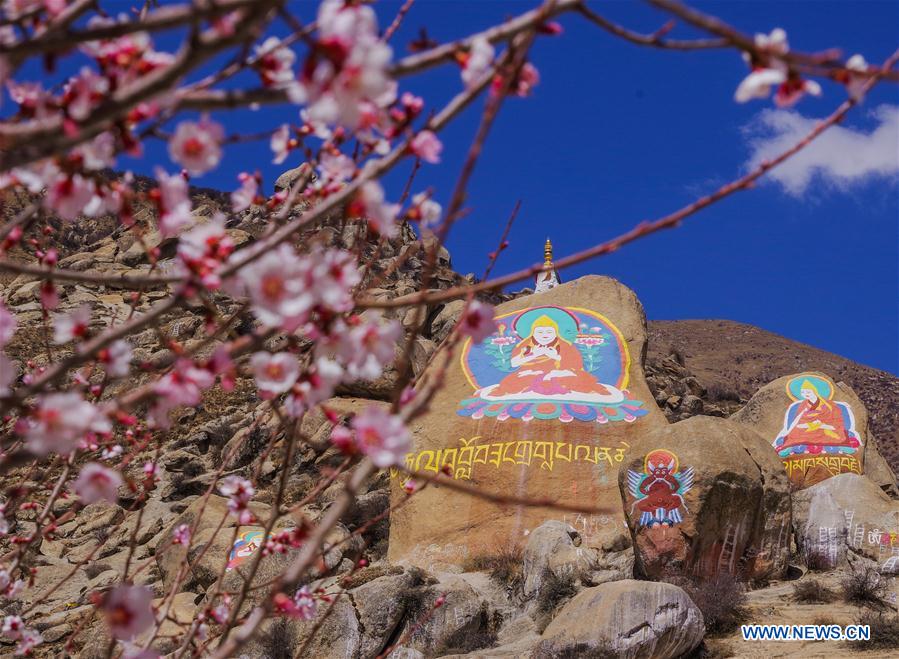 CHINA-TIBET-MONASTERY-FLOWER(CN)