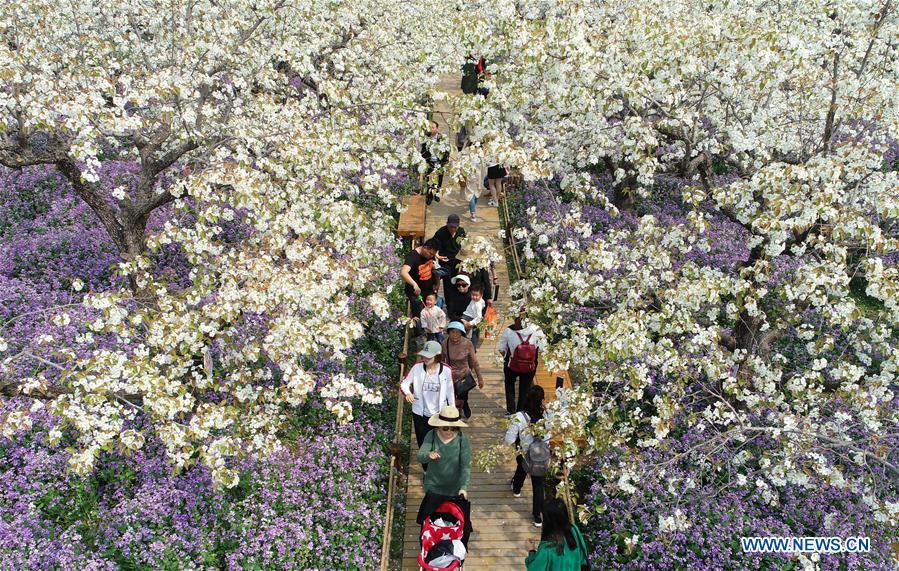 #CHINA-JIANGSU-SUQIAN-SPRING SCENERY (CN)