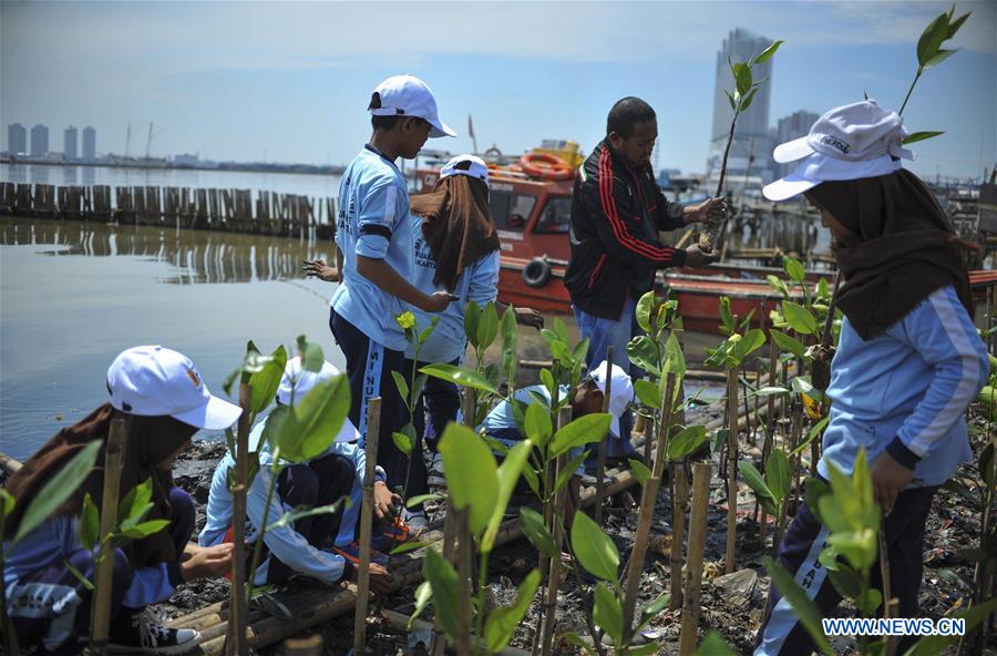 INDONESIA-JAKARTA-MANGROVES TREES-PLANTING