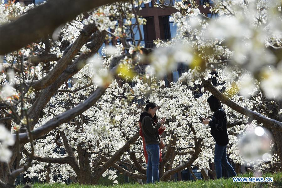 #CHINA-TIANJIN-SPRING GARDEN PARTY (CN)