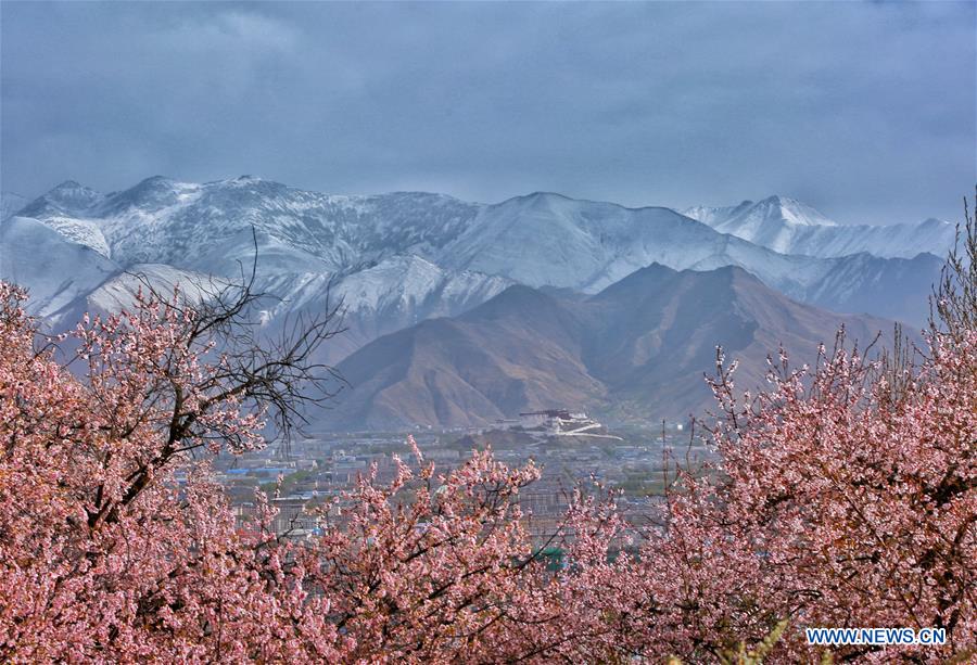 #CHINA-TIBET-SCENERY (CN)