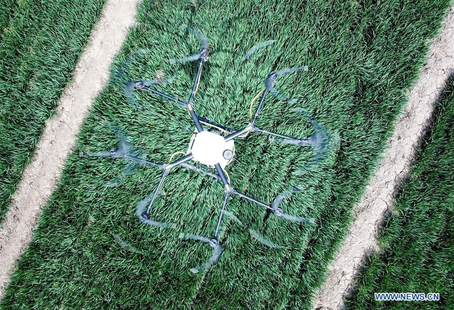 CHINA-HEBEI-DRONES-PESTICIDE (CN)