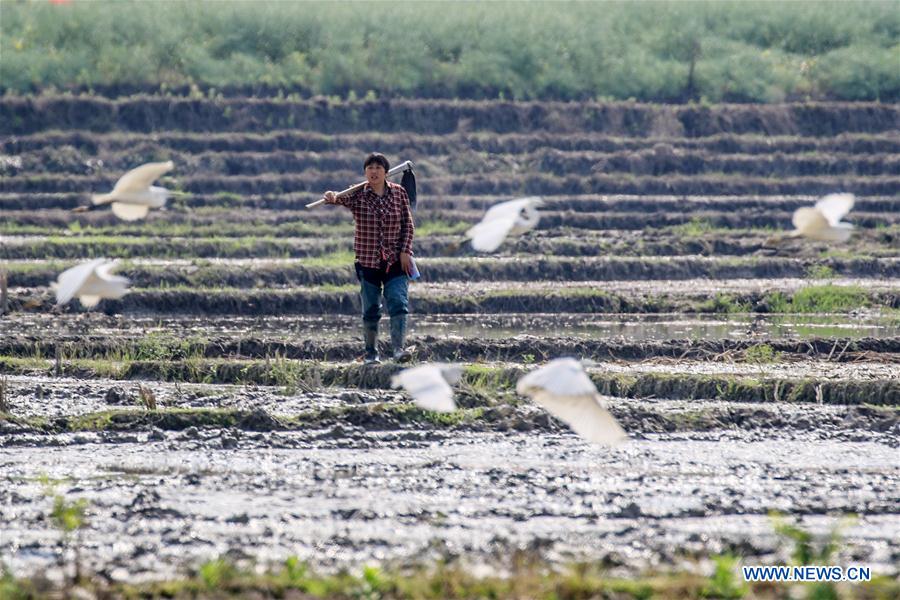 #CHINA-SPRING-FARMING (CN)