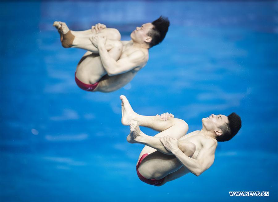 (SP)CHINA-WUHAN-DIVING-FINA-WORLD CUP (CN)