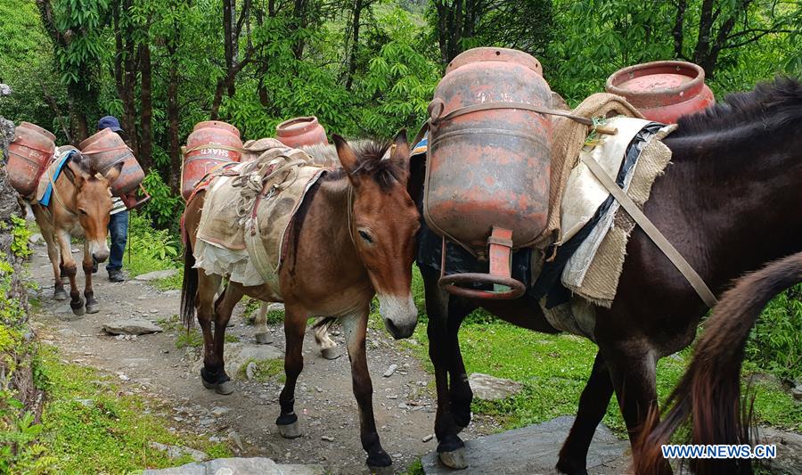 NEPAL-KASKI-DAILY LIFE