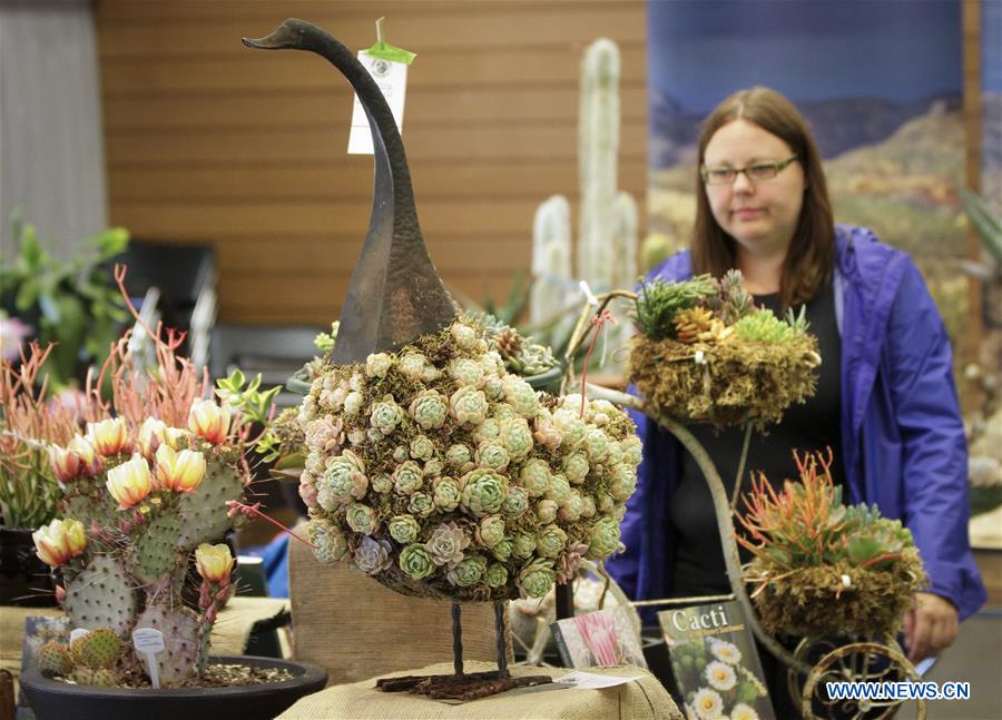 CANADA-VANCOUVER-DESERT PLANT SHOW