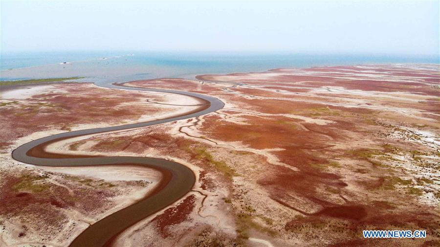 CHINA-SHANDONG-DONGYING-AERIAL VIEW (CN)