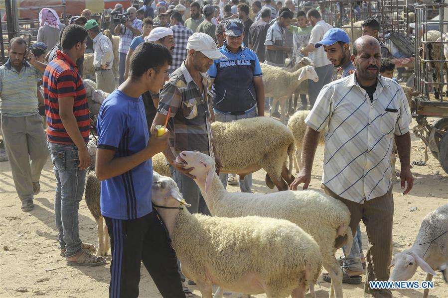 MIDEAST-GAZA-EID AL-ADHA-LIVESTOCK MARKET