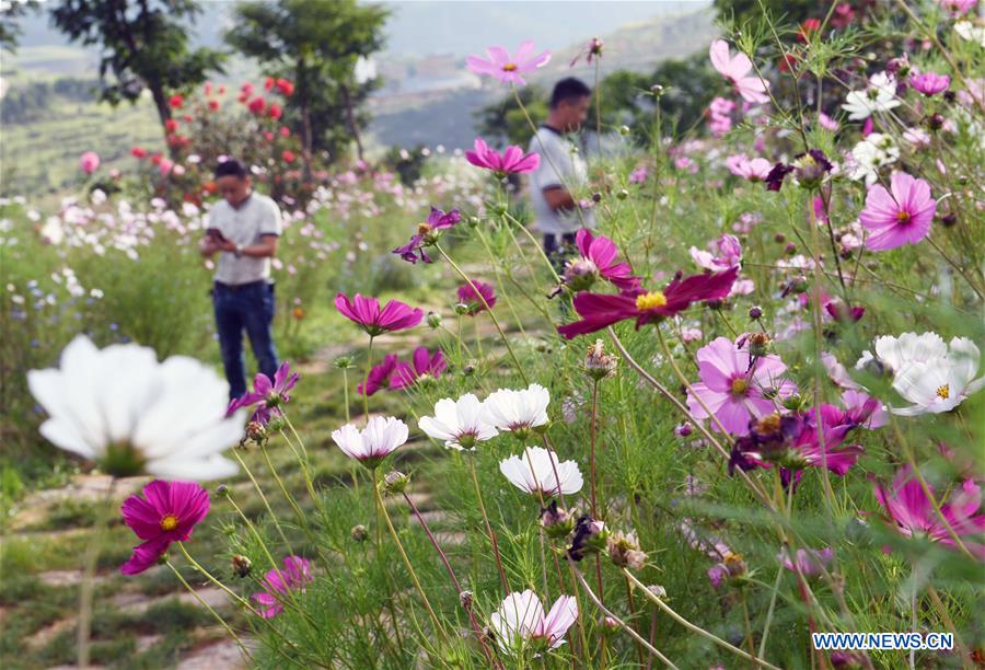 CHINA-YUNNAN-SCENERY (CN)