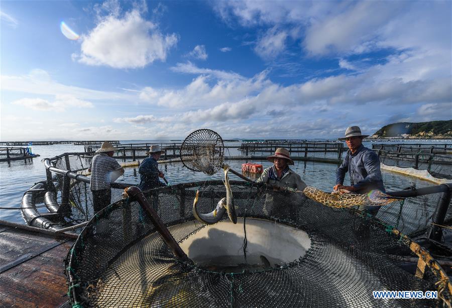 CHINA-ZHEJIANG-WENZHOU-MARICULTURE (CN)