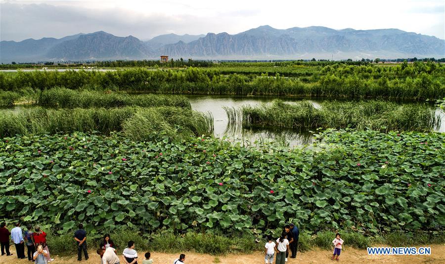 CHINA-SHANXI-HULIUHE WETLAND-SCENERY (CN)