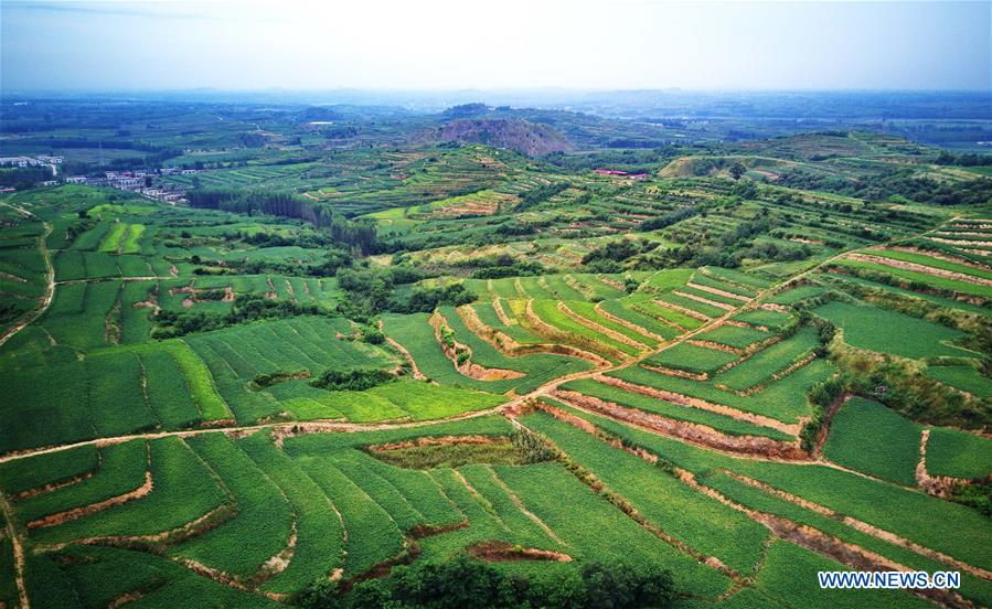 CHINA-HEBEI-TERRACED FIELDS (CN)