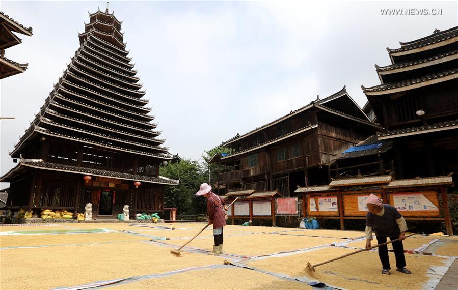 #CHINA-GUANGXI-SANJIANG-AGRICULTURE-GRAIN HARVEST (CN)