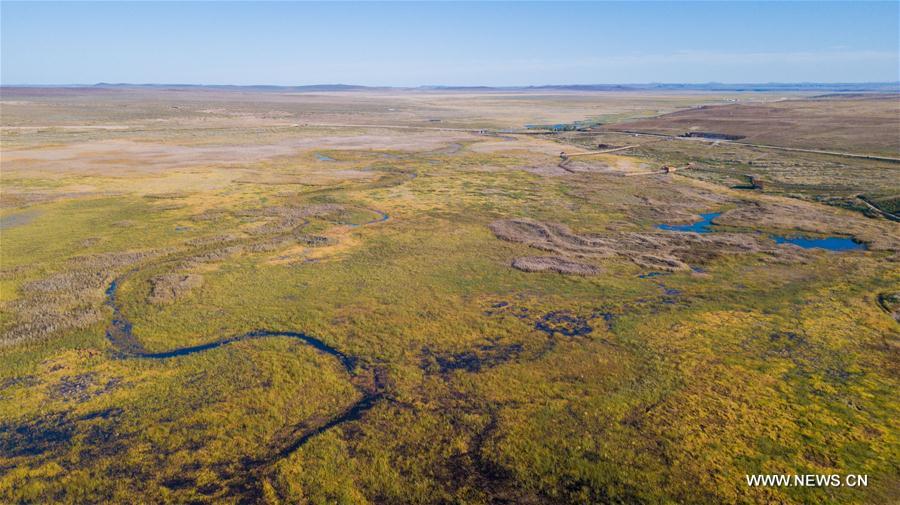 CHINA-INNER MONGOLIA-XILINGOL GRASSLAND(CN)