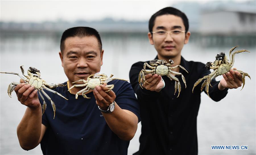 CHINA-JIANGSU-CRAB-HARVEST (CN)