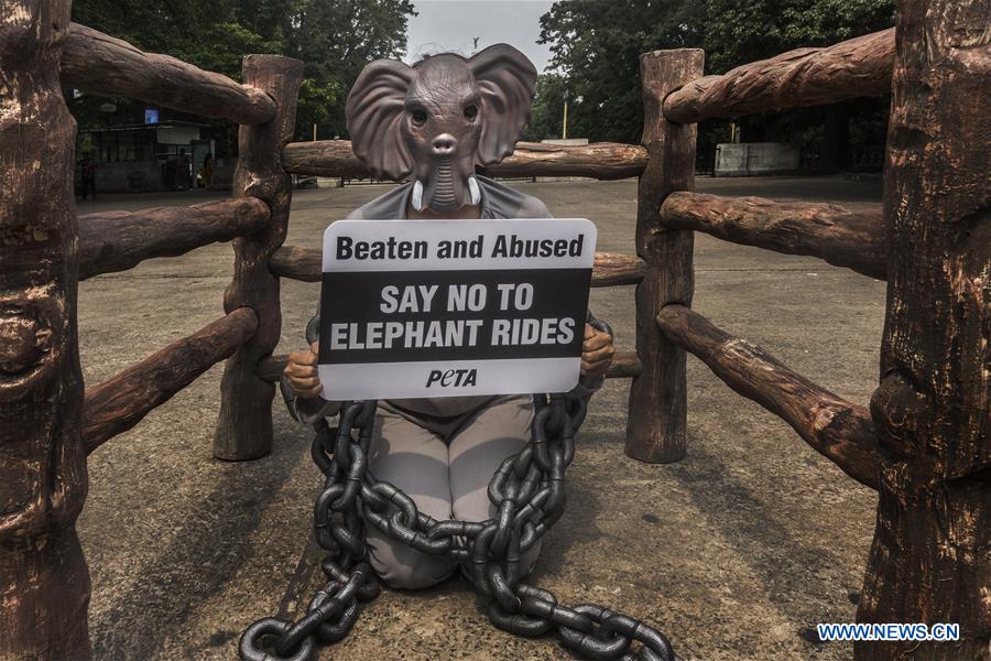 INDIA-KOLKATA-ELEPHANT-RIDE-PROTEST