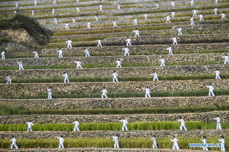 CHINA-ZHEJIANG-TAICHI-PERFORMANCE (CN)