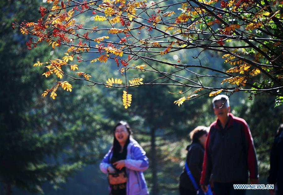 CHINA-HARBIN-HOLIDAY-LEISURE (CN)