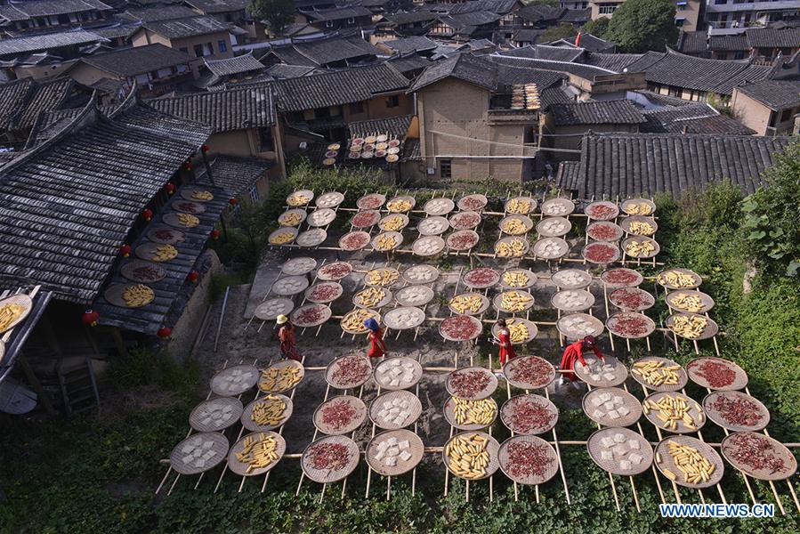 #CHINA-FUJIAN-AUTUMN TEA-HARVEST (CN) 