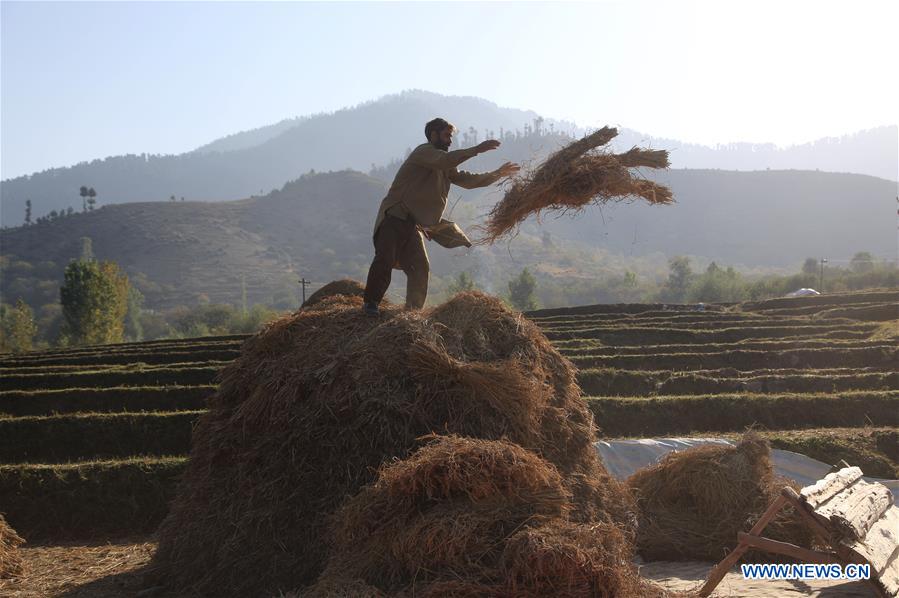 KASHMIR-SRINAGAR-DAILY LIFE