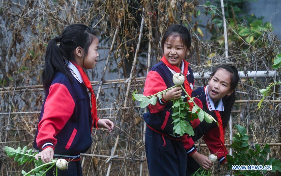 CHINA-ZHEJIANG-HUZHOU-CAMPUS PLANTATION-HARVEST(CN)