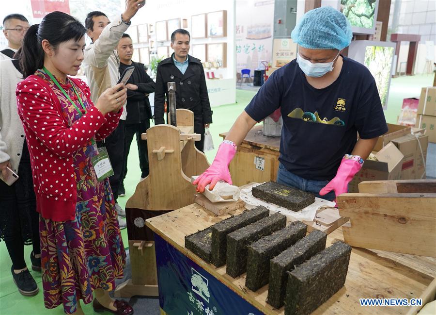 CHINA-SHAANXI-XI'AN-TEA EXPO (CN)