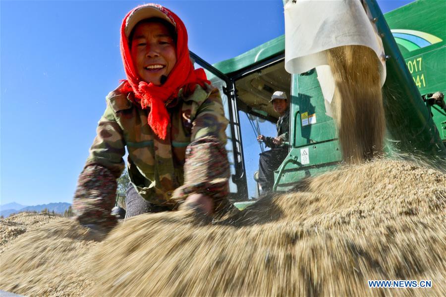 #CHINA-AUTUMN-HARVEST(CN)