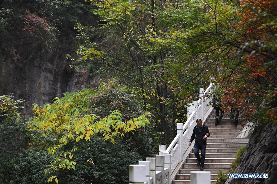 CHINA-GANSU-LONGNAN-AUTUMN-SCENERY (CN)