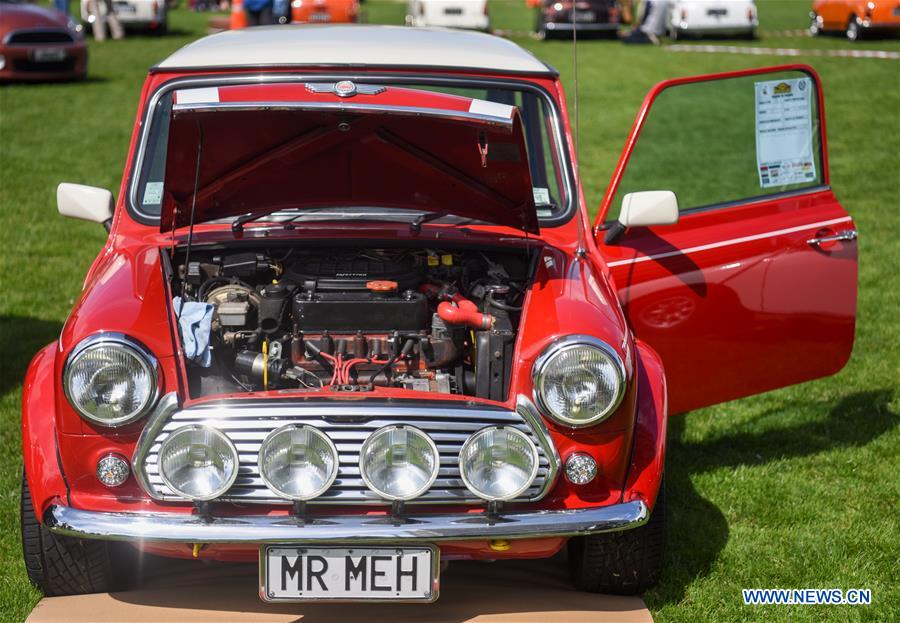 NEW ZEALAND-WELLINGTON-MINI COOPER-SHOW