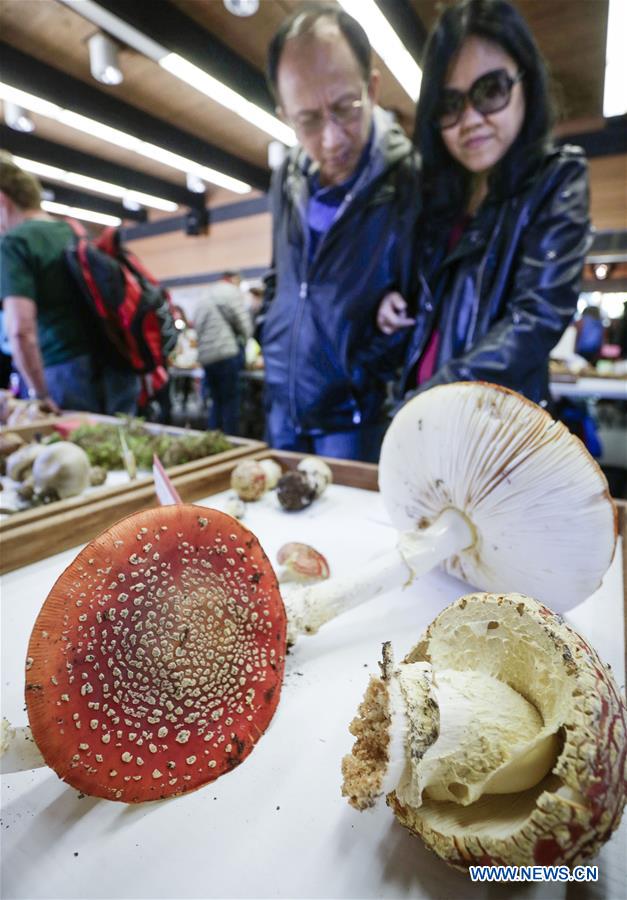 CANADA-VANCOUVER-MUSHROOM SHOW