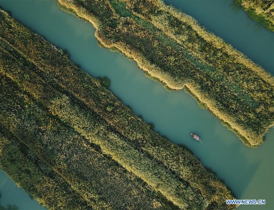 CHINA-HANGZHOU-XIXI WETLAND-AUTUMN SCENERY (CN)