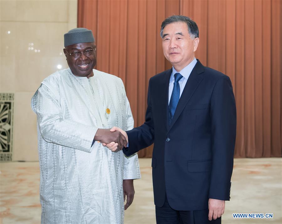 CHINA-BEIJING-WANG YANG-AFRICAN DELEGATION-MEETING (CN)