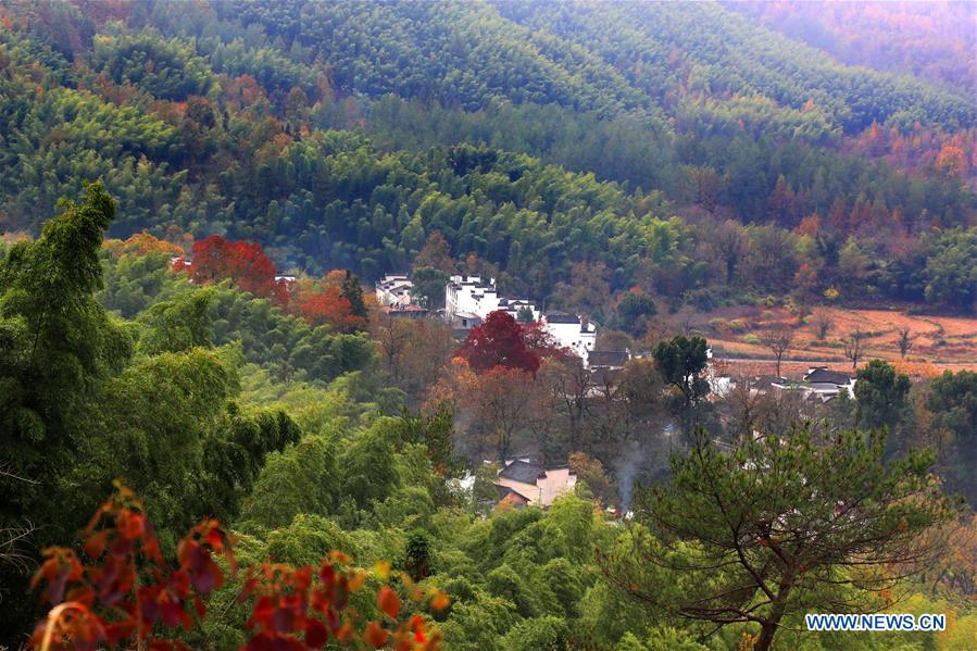 #CHINA-ANHUI-RURAL SCENERY (CN)