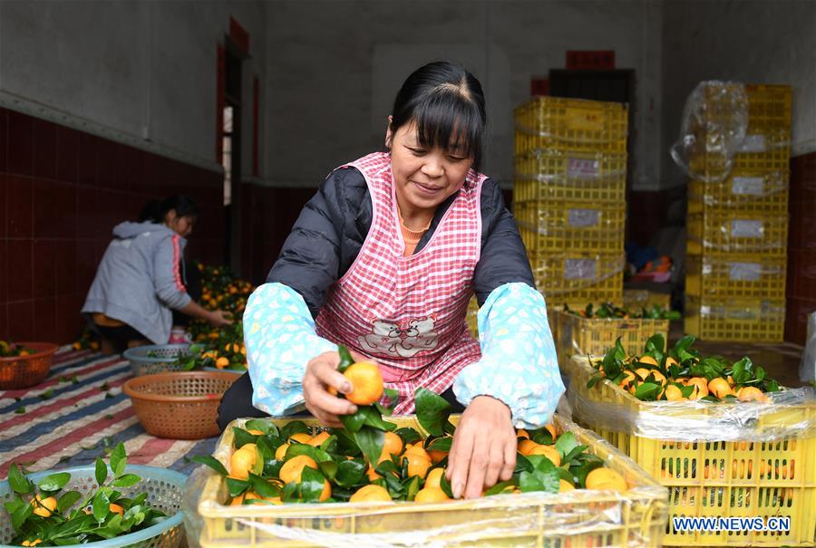 CHINA-GUANGXI-FRUIT INDUSTRY (CN)