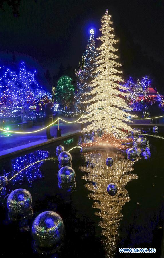 CANADA-VANCOUVER-CHRISTMAS LIGHTS