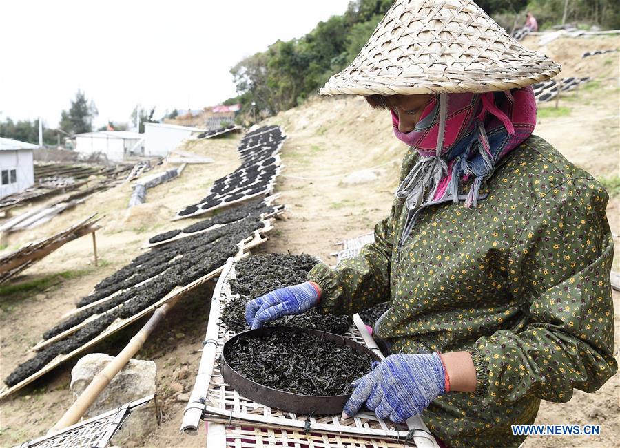 #CHINA-GUANGDONG-NAN'AO-DRIED LAVER (CN) 