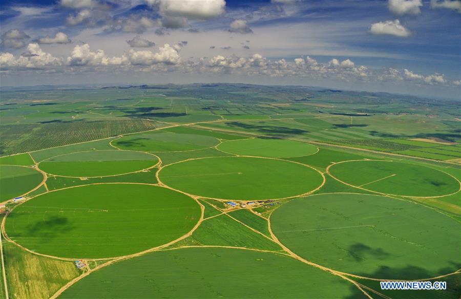 CHINA-COLOR-DRONE PHOTOS OF THE YEAR (CN)