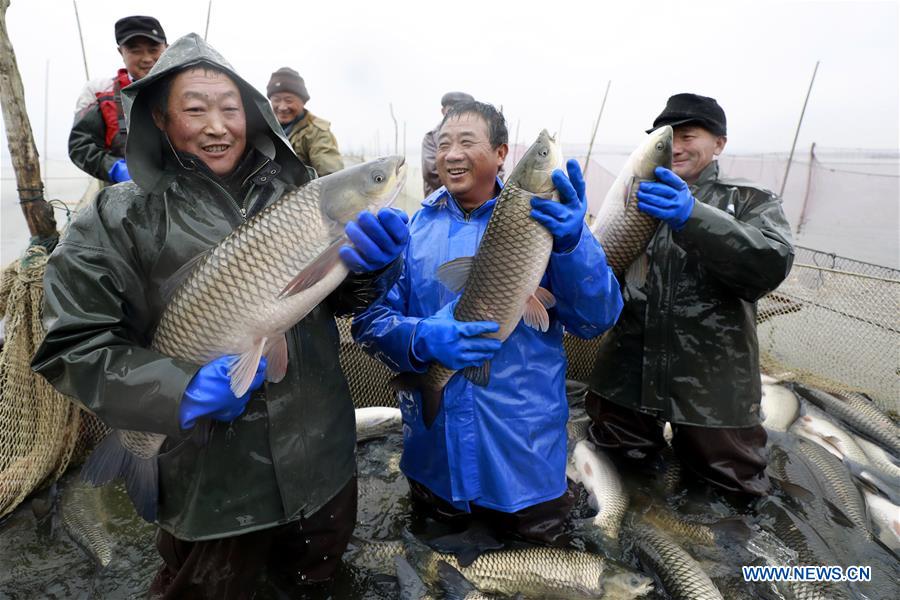 #CHINA-JIANGSU-XUYI-WINTER FISHING (CN)