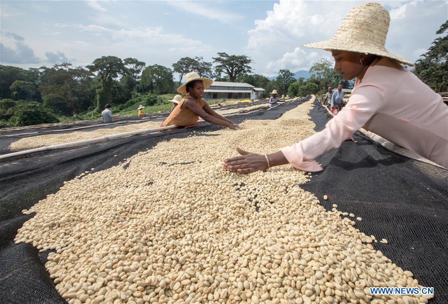 CHINA-ETHIOPIA-COFFEE-IMPORT-MARKET